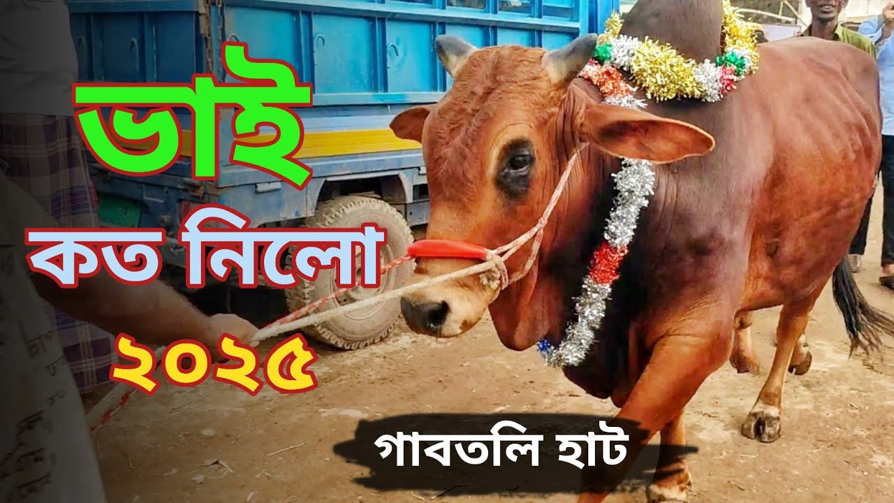 Bhai Koto Nilo 2025🐄 Gabtoli Gorur Haat 2025 | Qurbani Cow Price 2025 today | Part-45