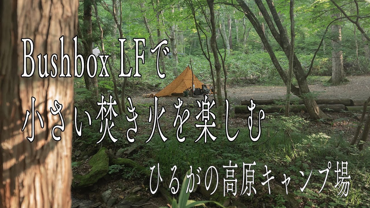 小さい焚き火台でちびちび楽しむ【Bushbox ブッシュボックスLF】【ひるがの高原キャンプ場】【無骨キャンプ】