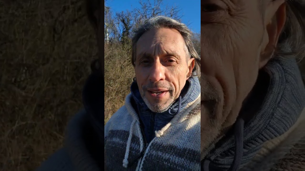 Impulse zum 28.12.2025 inmitten der Rauhnächte