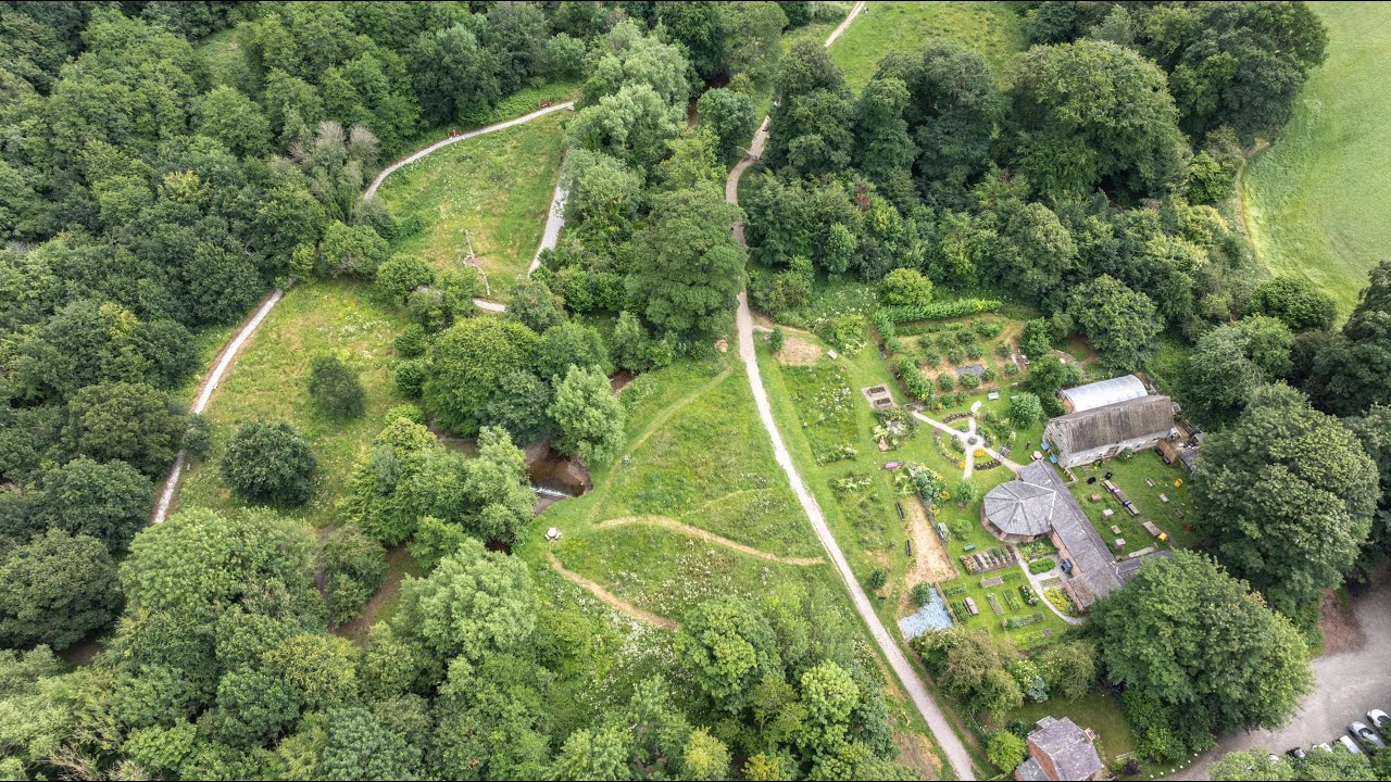 Dôl Ofalgar yn Erddig | Mindful Meadow at Erddig