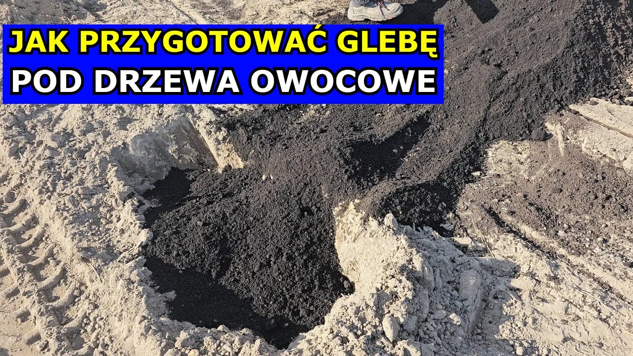Przygotowanie Gleby pod Sad. Uprawa Jabłoni, Gruszy, Brzoskwini, Pigwy, Czereśni, Wiśni Śliwy Moreli