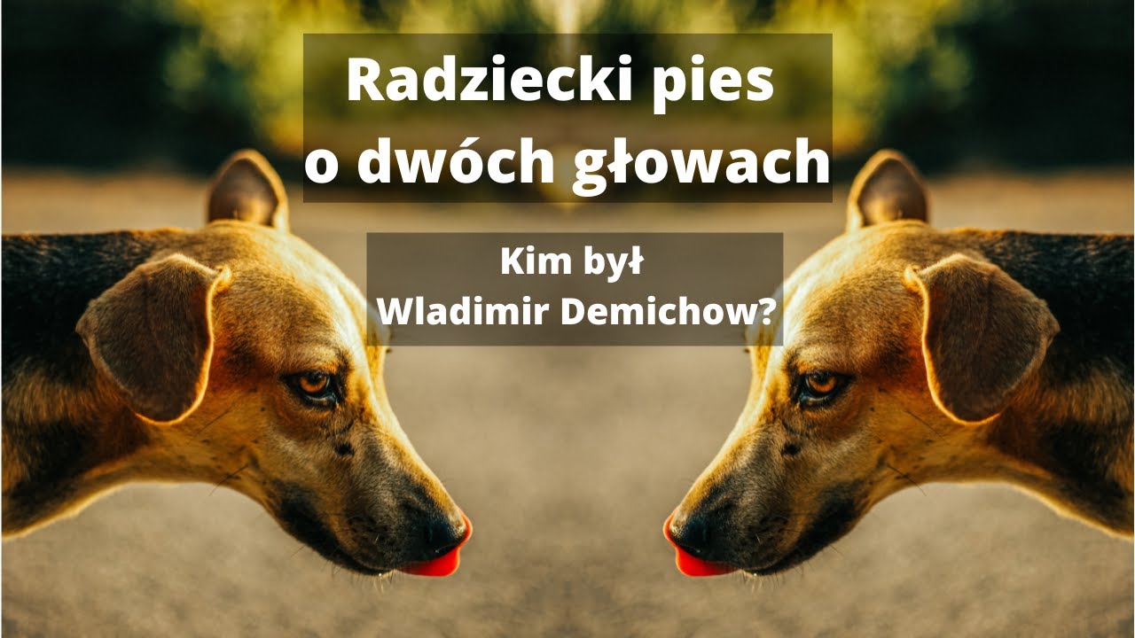 Radziecki dwugłowy pies - eksperymenty Wladimira Demichowa