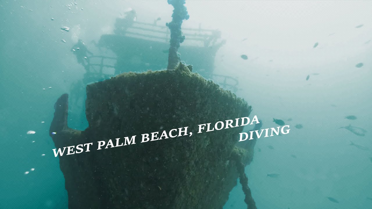West Palm Beach Dive with Pura Vida Divers, May 29, 2022