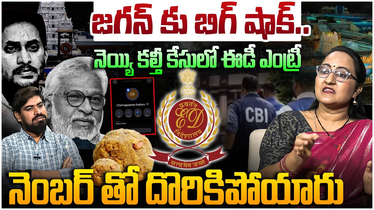 ఈడీ ఎంట్రీ తో జగన్ కు బిగ్ షాక్😱 Social Activist Sreeleela on ED Entry in TTD Ghee Adulteration Case