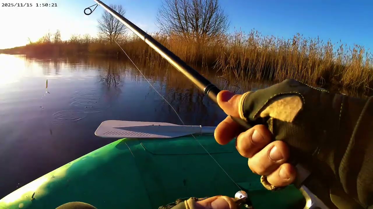 Lydekų žvejyba su draugais Karoliu ir Modestu.