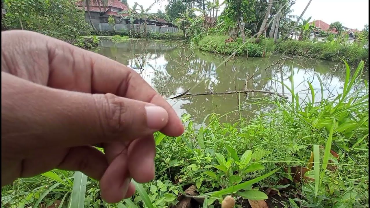 SEDANG ASIK STRIKE MATA KAIL NYA NYANGKUT