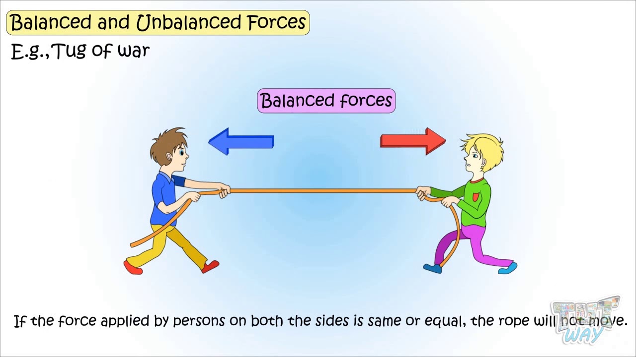 Balanced and Unbalanced Forces For Kids | Tutway