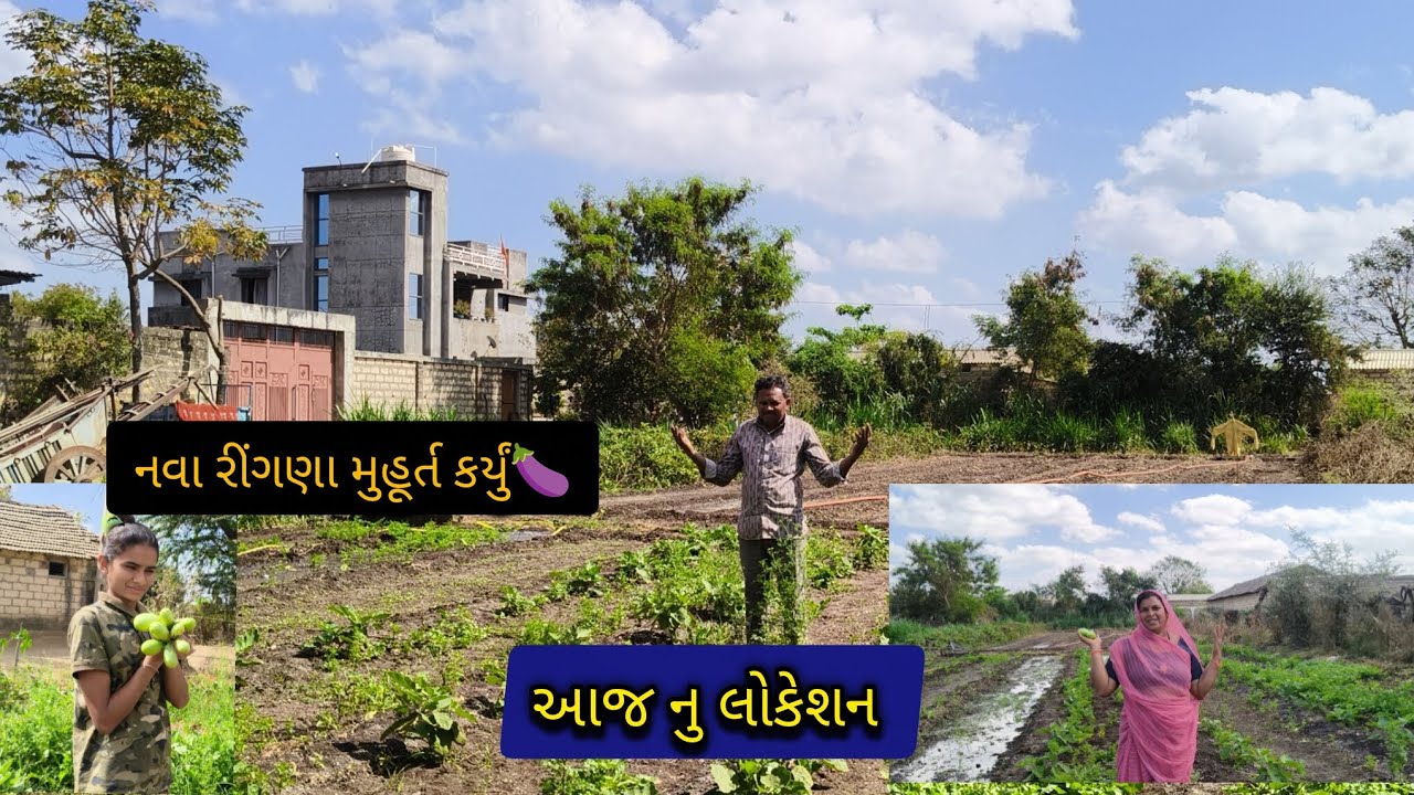 આજનું લોકેશન 🌅🏜️// નવાર રીંગણાનું મુહૂર્ત કરી નાખ્યું 🍆🥰🍆