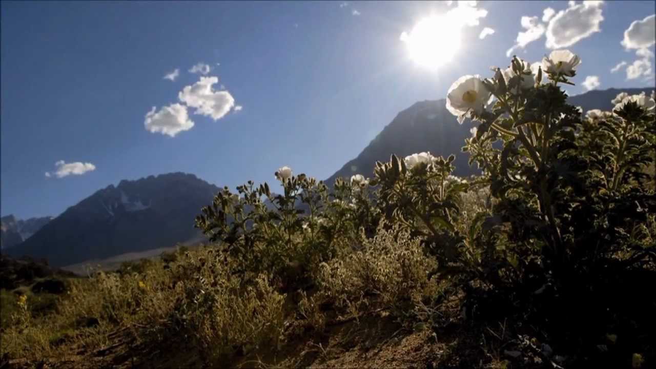 Visual Collective 2011 Showreel (Variation)