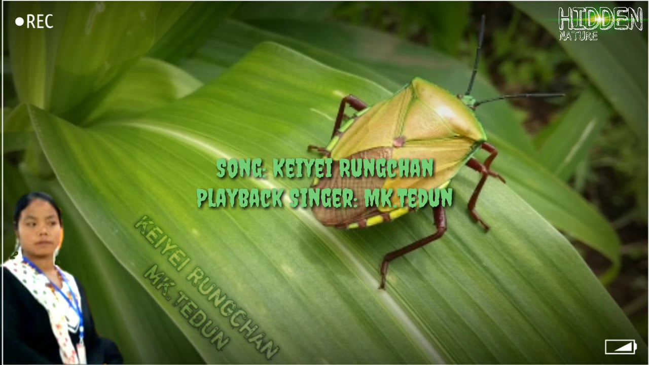 Keiyei Rungchan || Mk.Tedun || Maring song(lyrics)