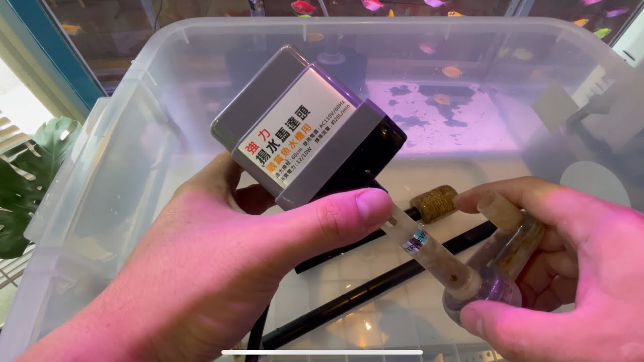 揚水馬達維修保養 上部過濾 2尺 一尺半 18L 20L 土豆仁水族分享