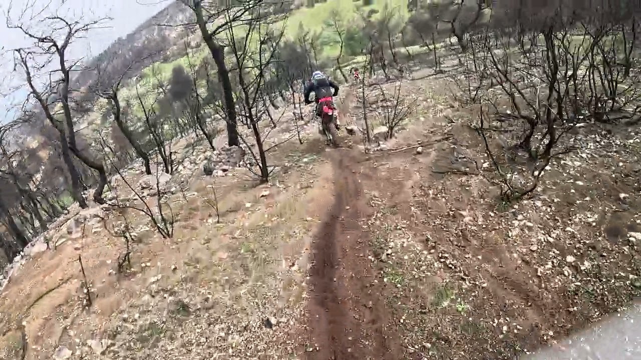 Sherco-beta-ktm 11