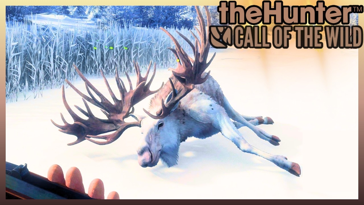 VOLTAMOS COM GRIND DE ALCE EM TAIGA - THE HUNTER CALL OF THE WILD #greatone #cotw #ps5