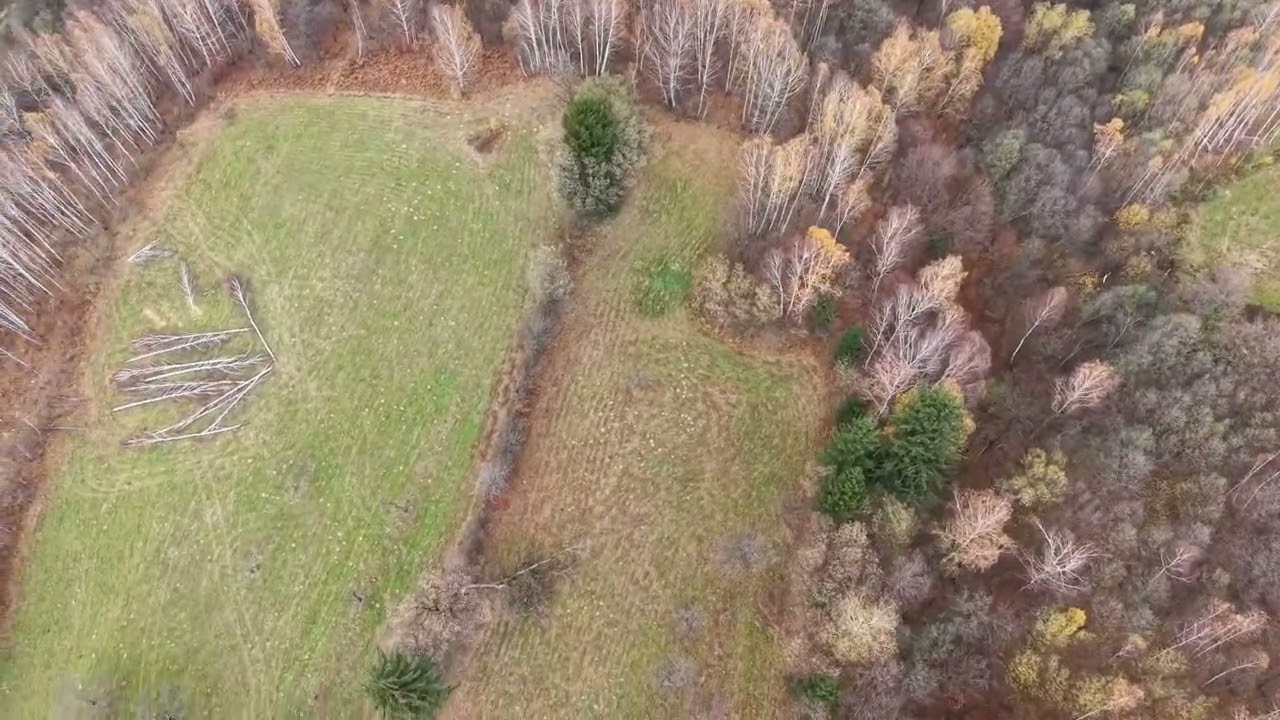 Teren intravilan 2ha Bran Tohanita, Brașov. Pădure 🌳Platou 🏔️ pârâu 🏞️