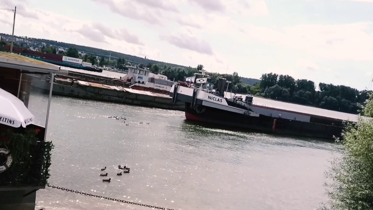 Die Schwabbel in Walluf am Rhein Trailer4