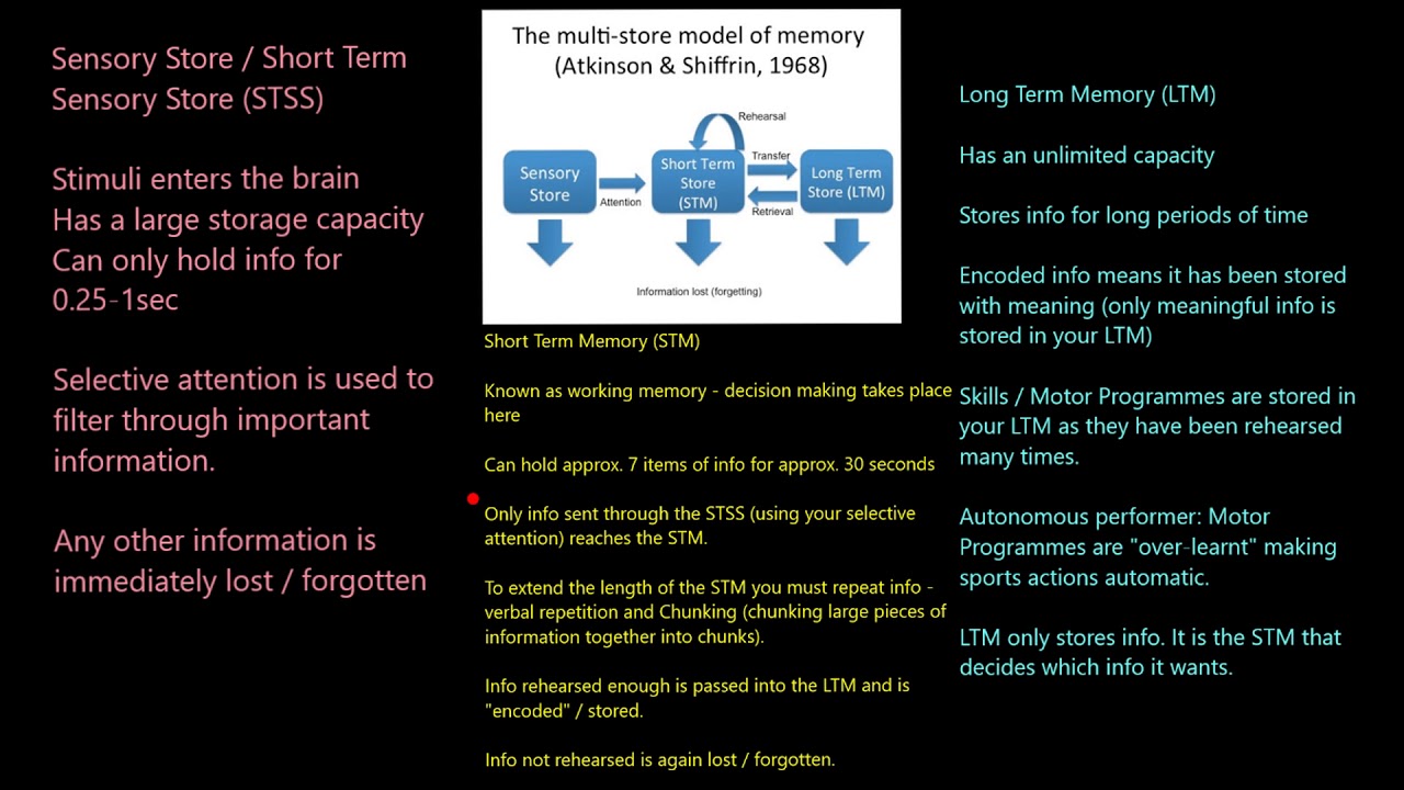 Memory Models