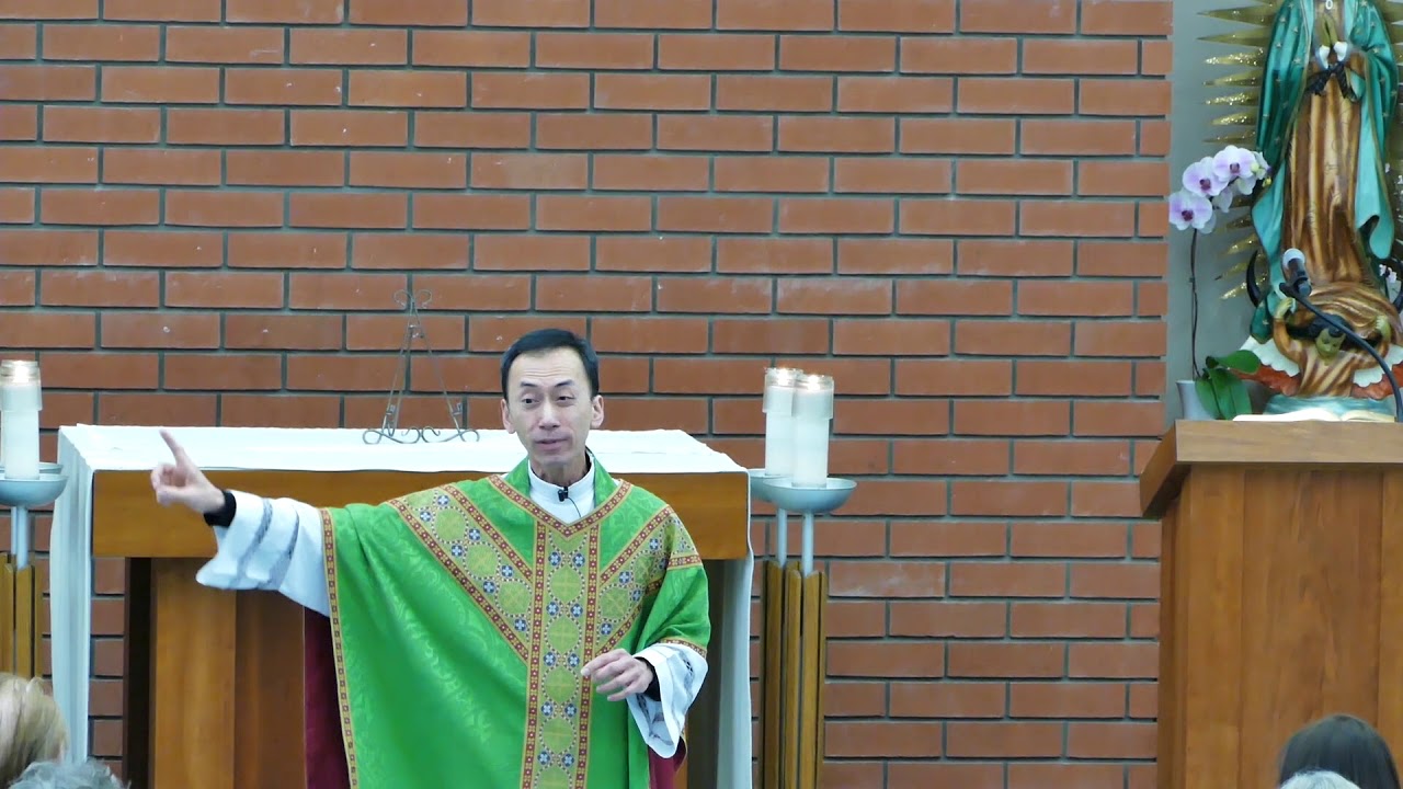 Third Sunday In Ordinary Time, Year A - Father Quan Tran's Homily