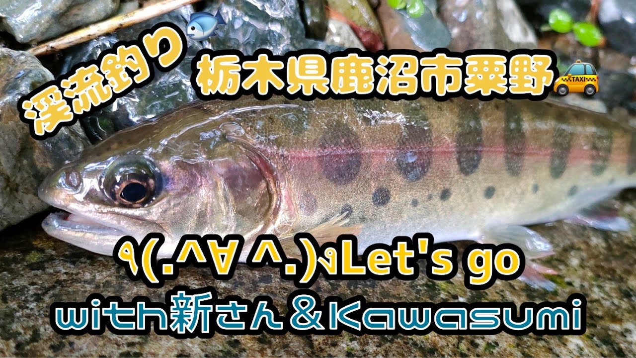 渓流釣り　ヤマメを狙え！！栃木県鹿沼市粟野　with新さん＆Kawasemi