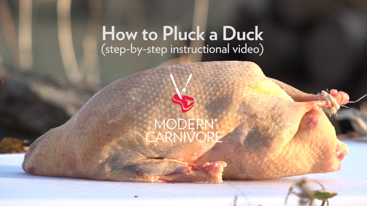 How to Pluck a Duck