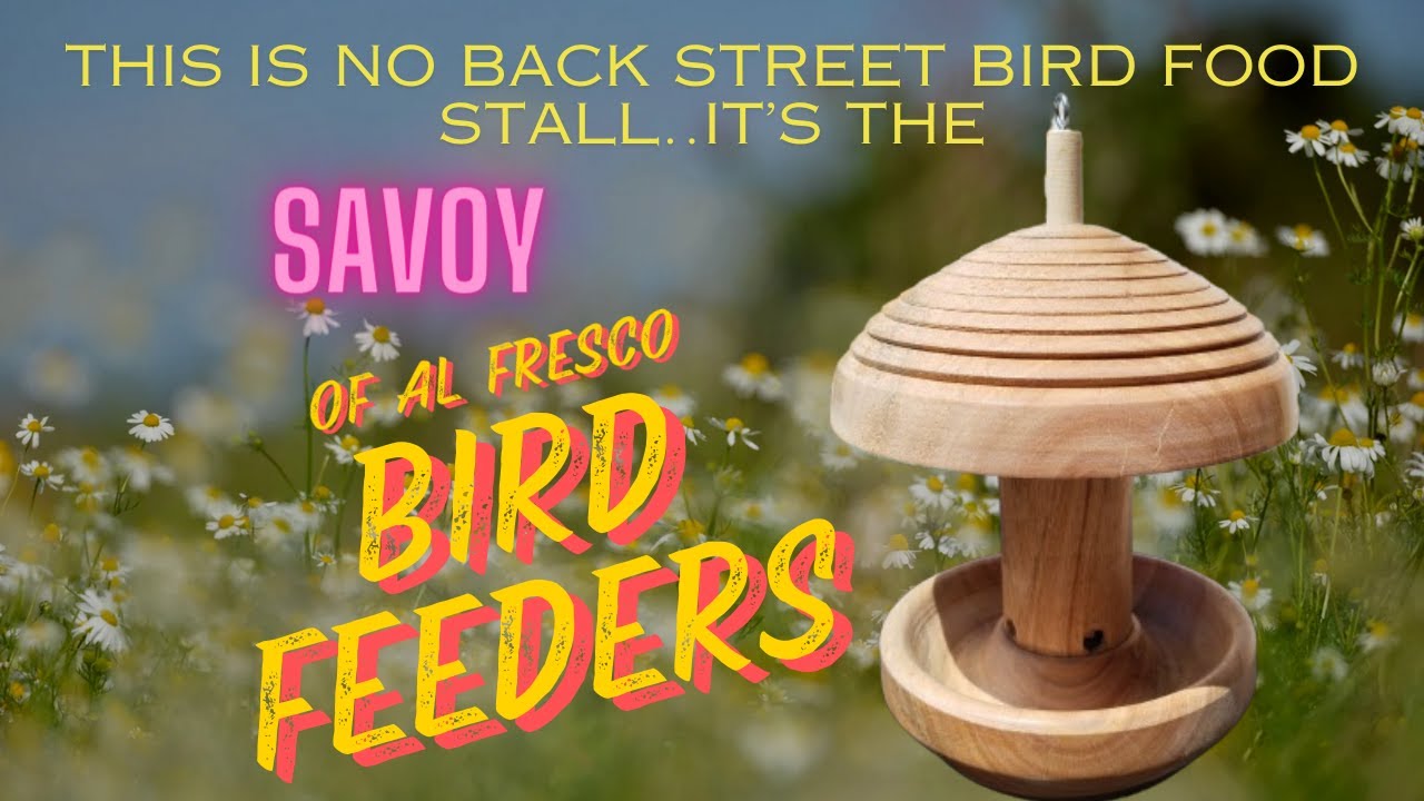 Bird feeder