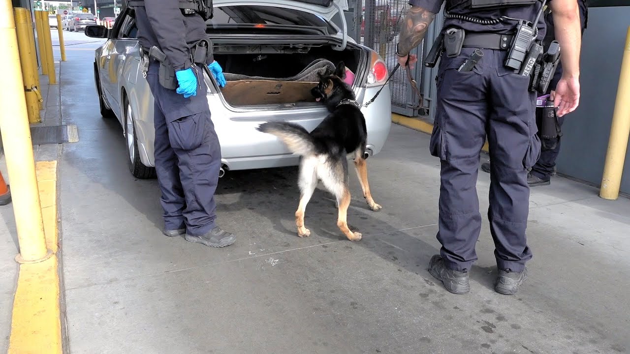 San Ysidro Inbound Vehicles Inspection