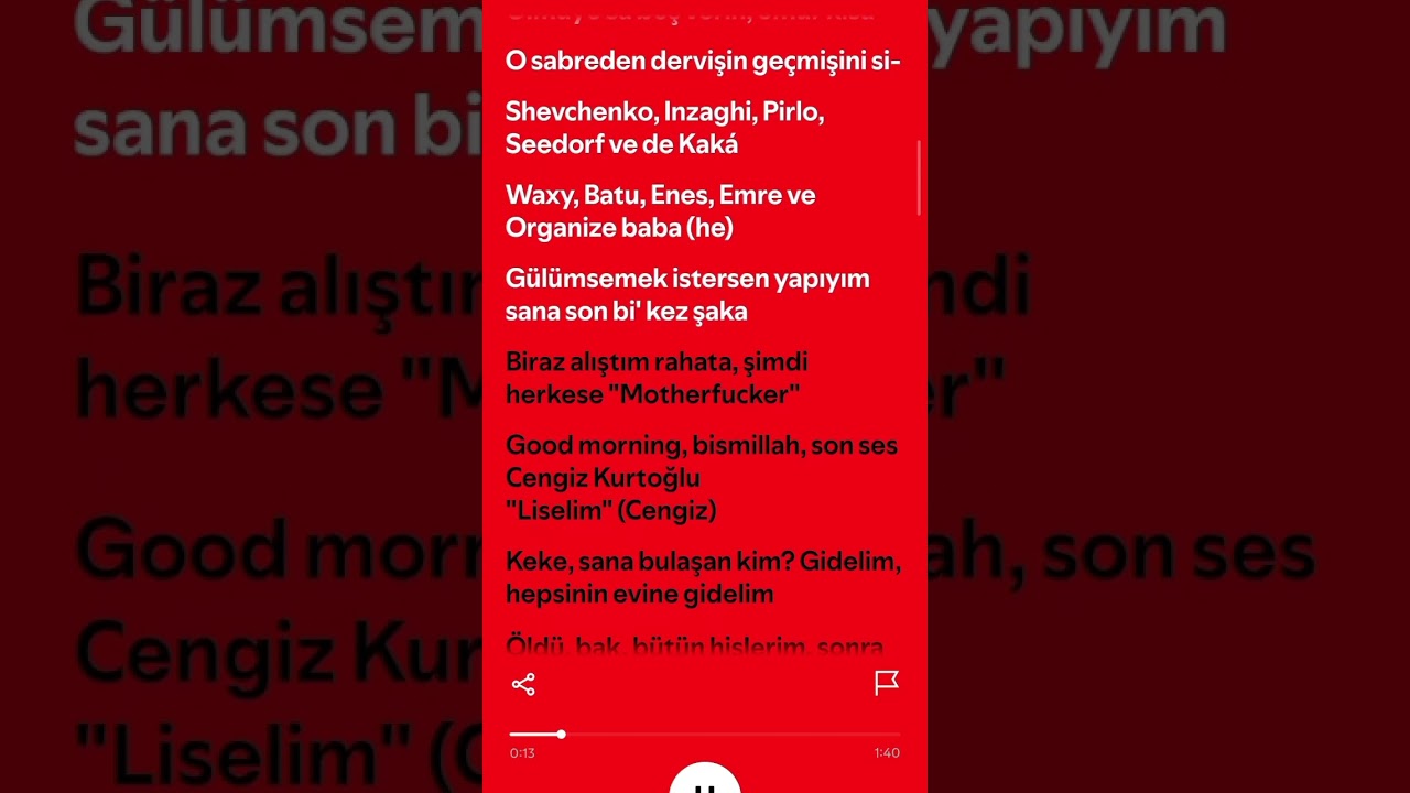 organize- Shevchenko(şarkı s&ouml;zleri)#organize #şarkı
