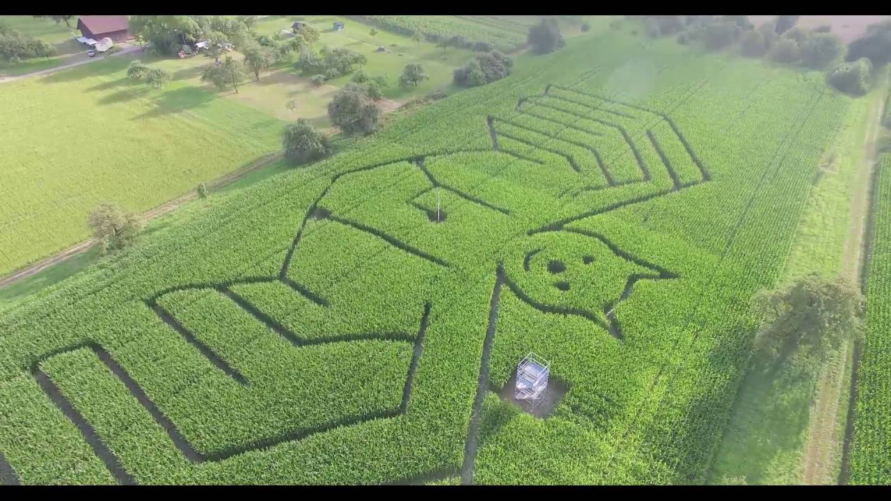 Maislabyrinth Eutingen 2016