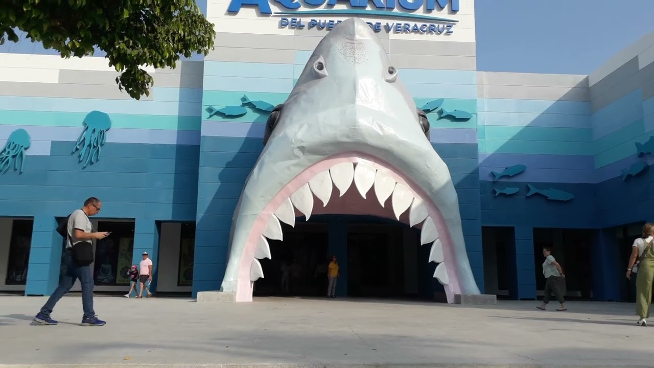 Leo Martz ... Plaza Acuarium de Veracruz ........