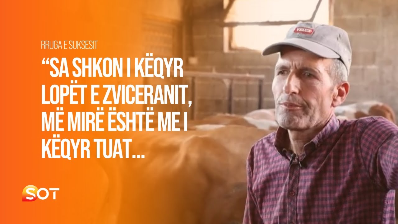 Nga një lopë e një traktor, në 30 gjedhe e 6 traktorë - rruga e suksesit të fermerit nga Malisheva