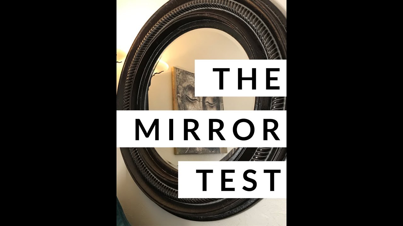 mirror test