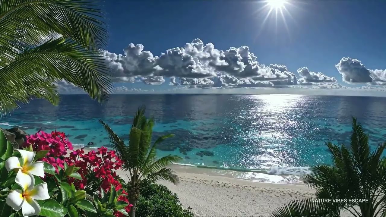 FOCUS | Hawaiian Vibe 🌺 Ocean Waves Beach Ambience 🌊 Sleep Study | 4K