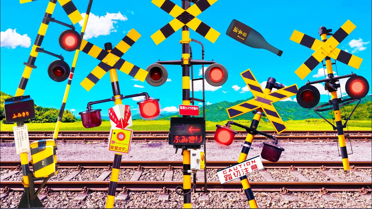 Railroad Crossing Inspection by the Demon Instructor