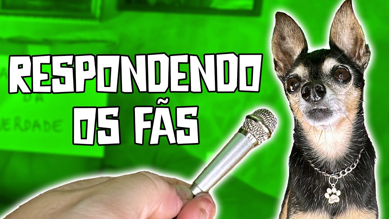 ENTREVISTANDO OS PEQUENOS PRÍNCIPES
