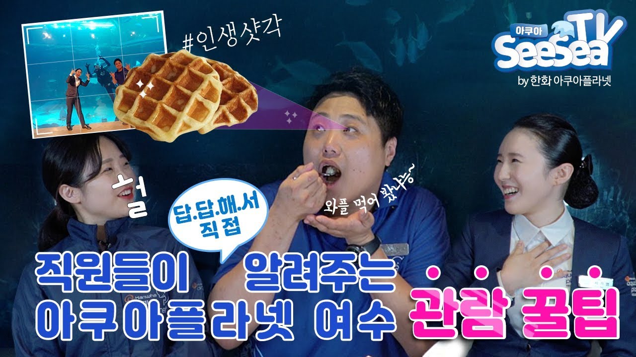 진짜 직원이 알려주는 아쿠아플라넷여수 인생샷찍는법 대방출ㅋㅋ(ft.JMT와플)