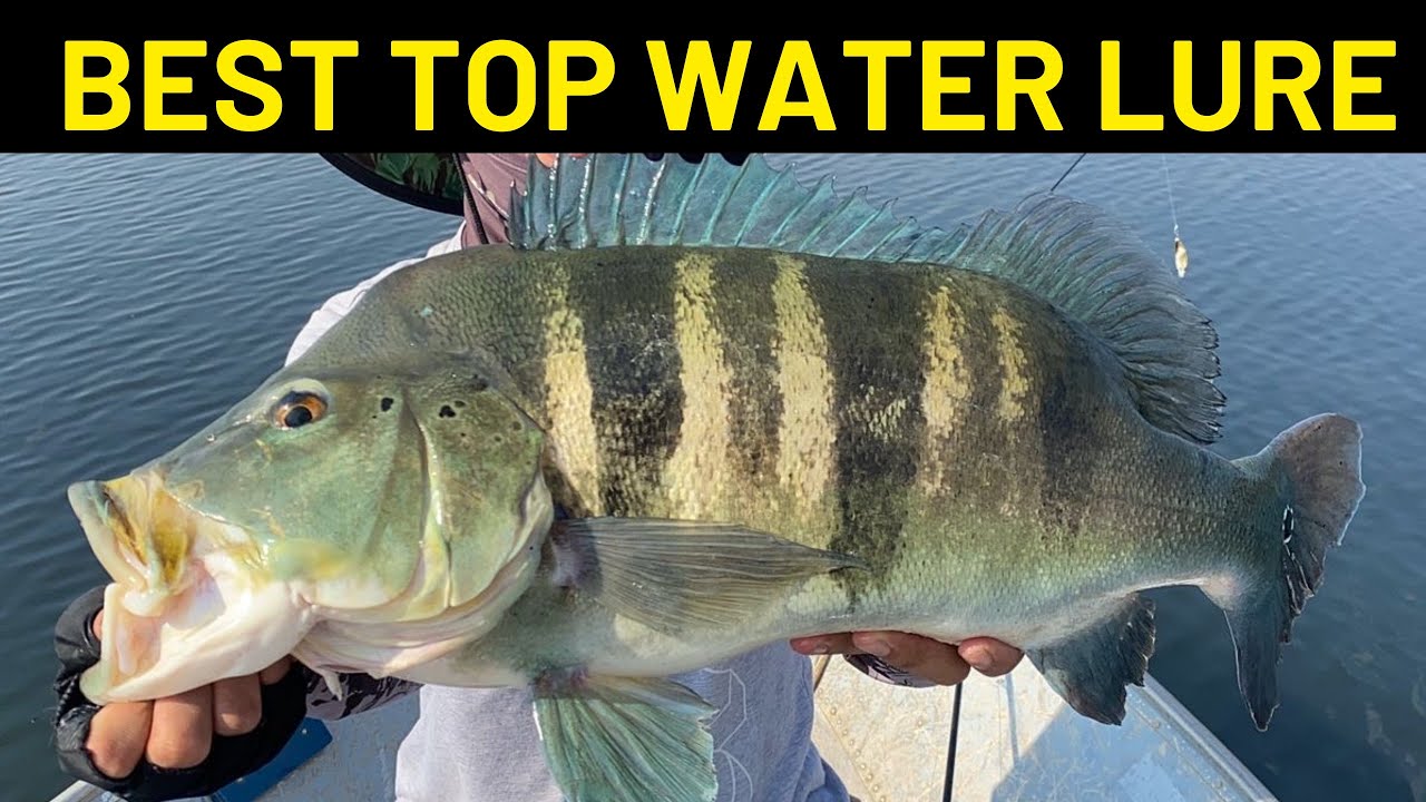 BETTER THAN RAPALA LURE#fishing