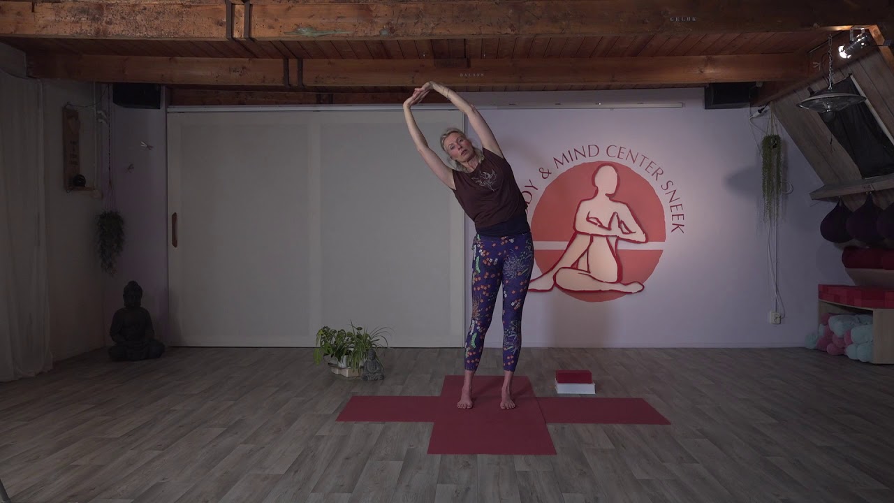 Pilates les rug