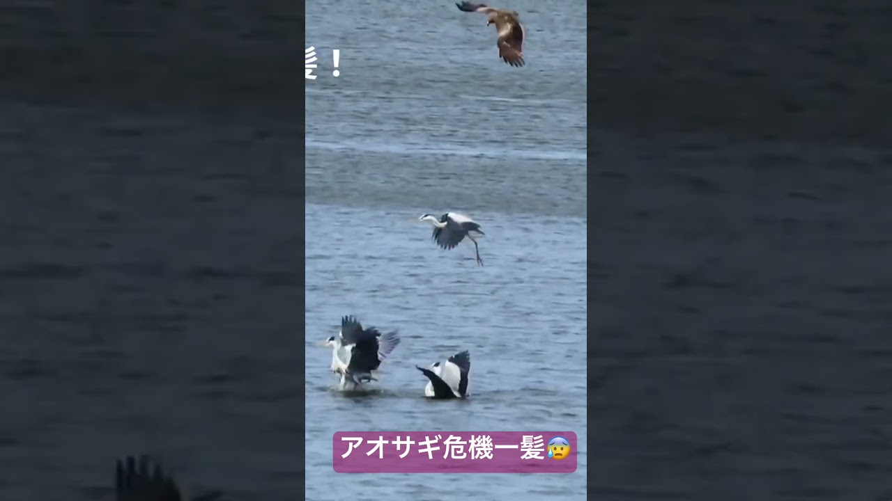 2025年6月11日