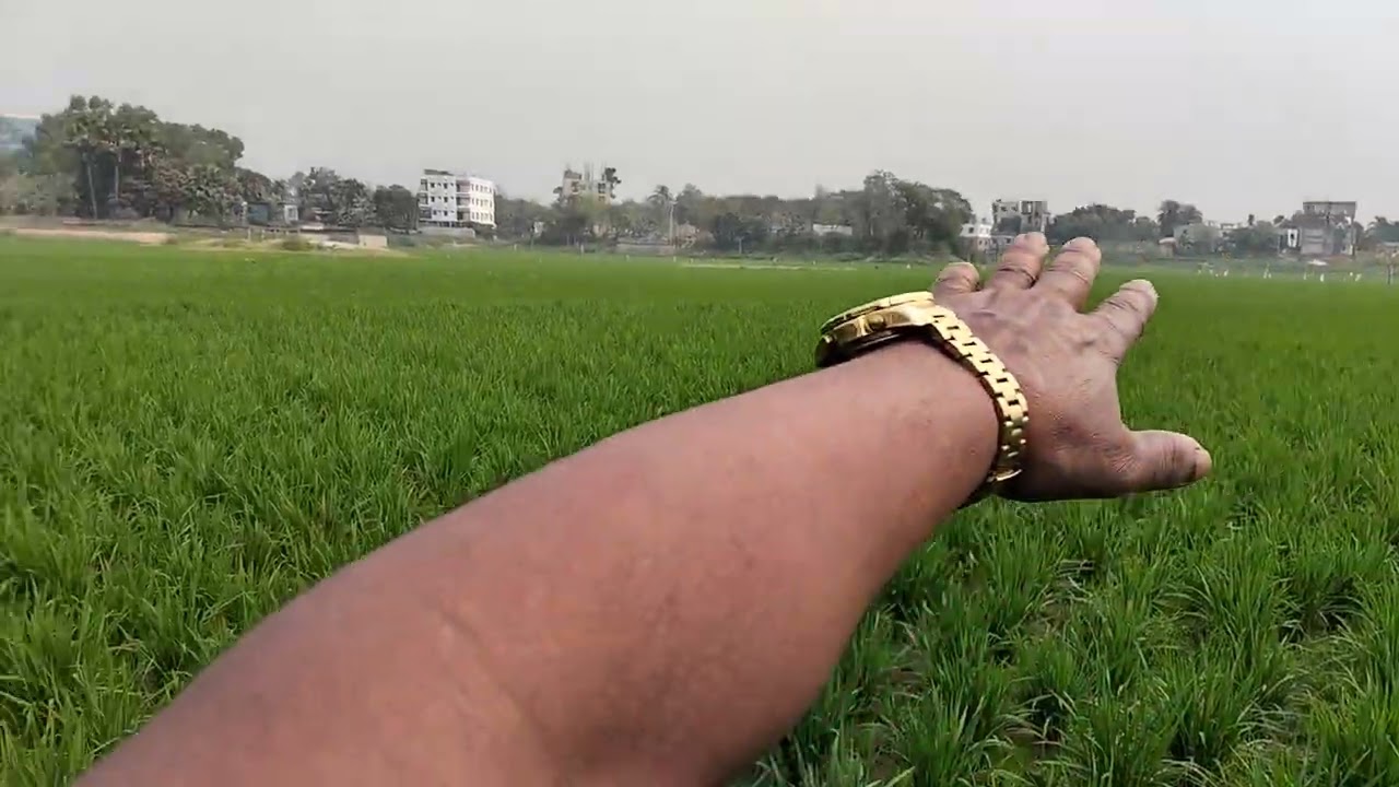 যোগাযোগ নাম্বার 01839815358