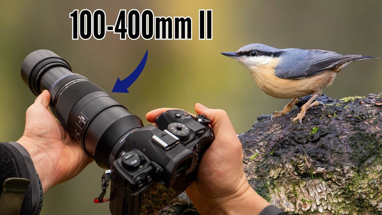 Relaxing POV Nature Photography | M.Zuiko 100-400mm Mark II