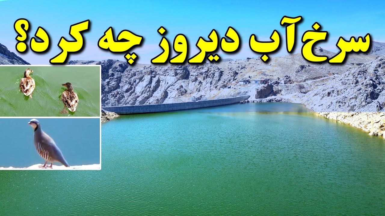 سرخ‌آب دیروز چه کرد؟ | حیات وحش و افزایش آب در بند همبستگی