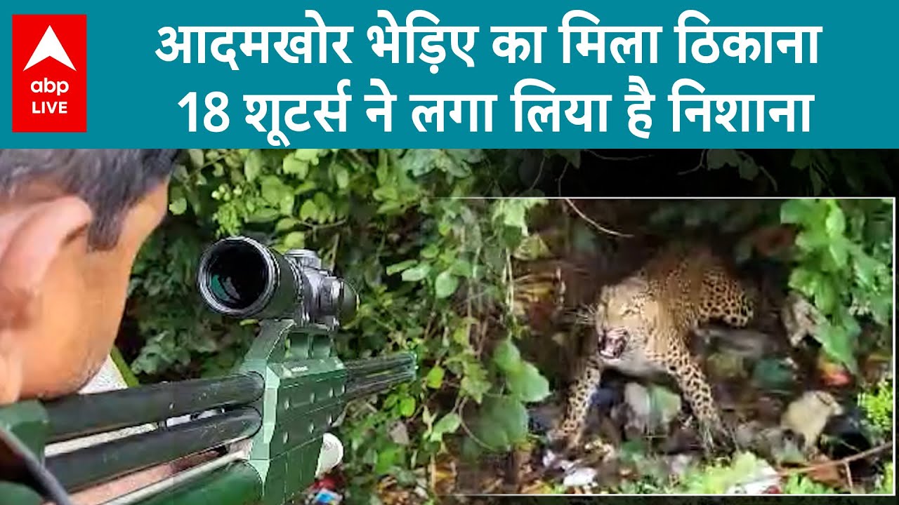 Bahraich Wolf Terror: बहराइच में भेड़िये और लखीमपुर खीरी में बाघ का लोकेशन मिल गया है । ABP Live