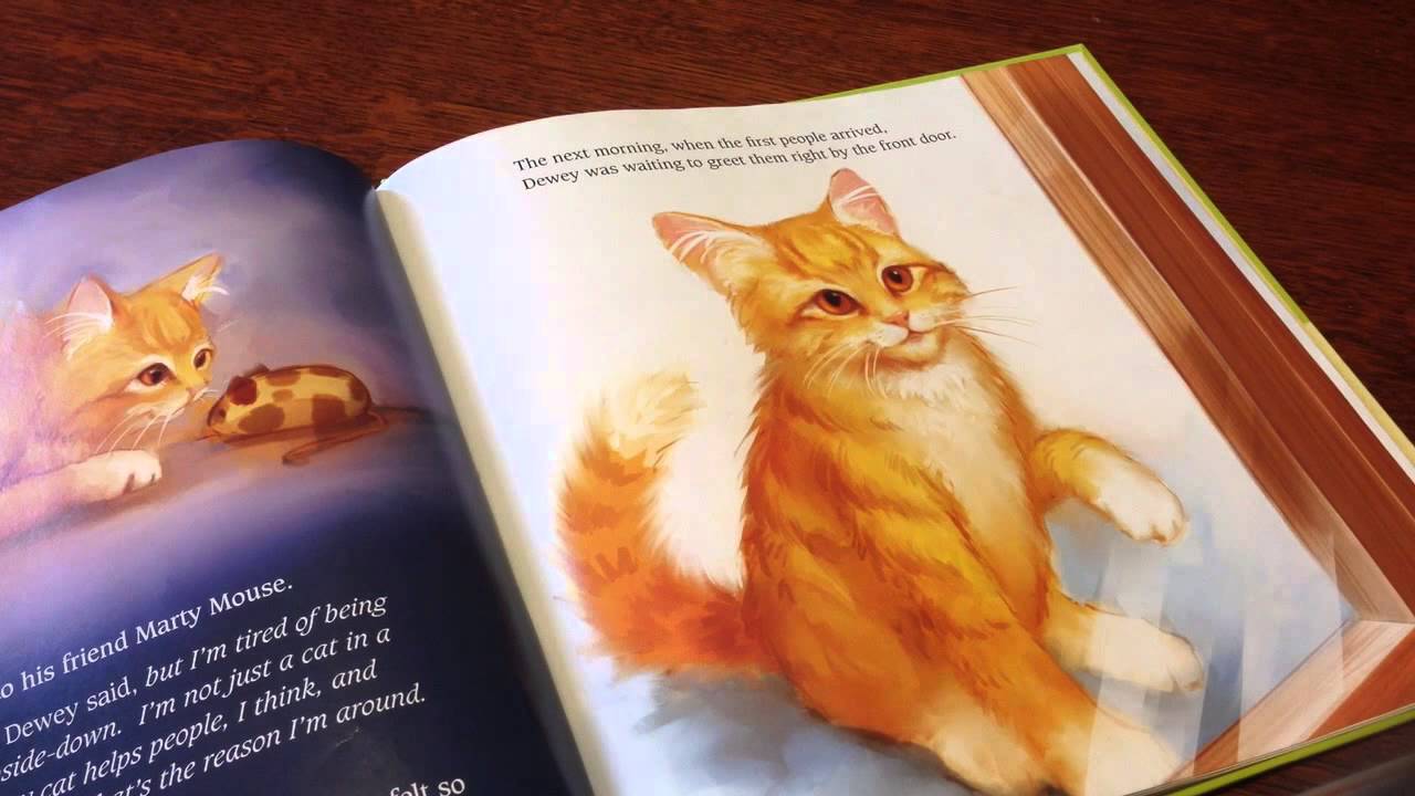 Dewey The Library cat