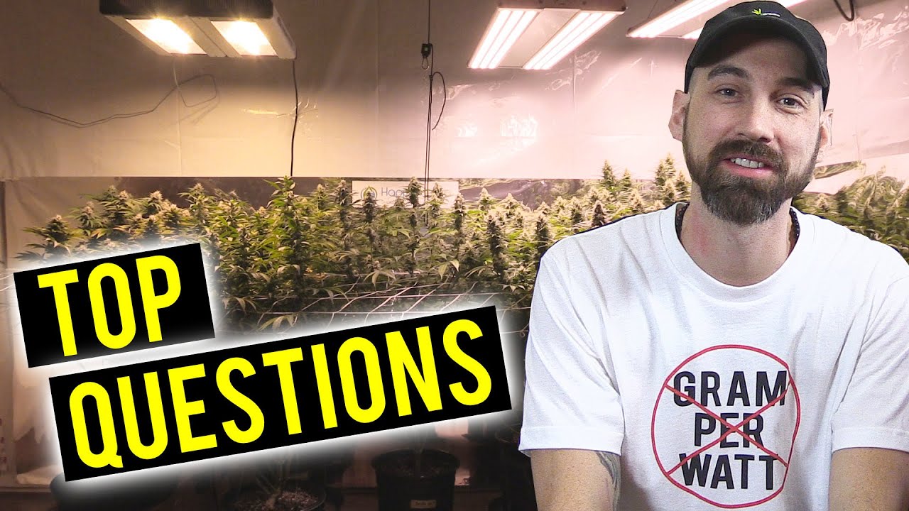 Humidity Ranges, When Flowering Starts, Re-Using Soil, 24/7 Light Cycle - Q&A #03