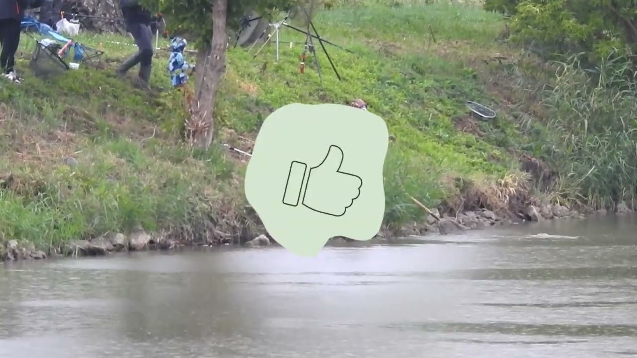 Rybářské Závody 2025 Slavkov u Brna