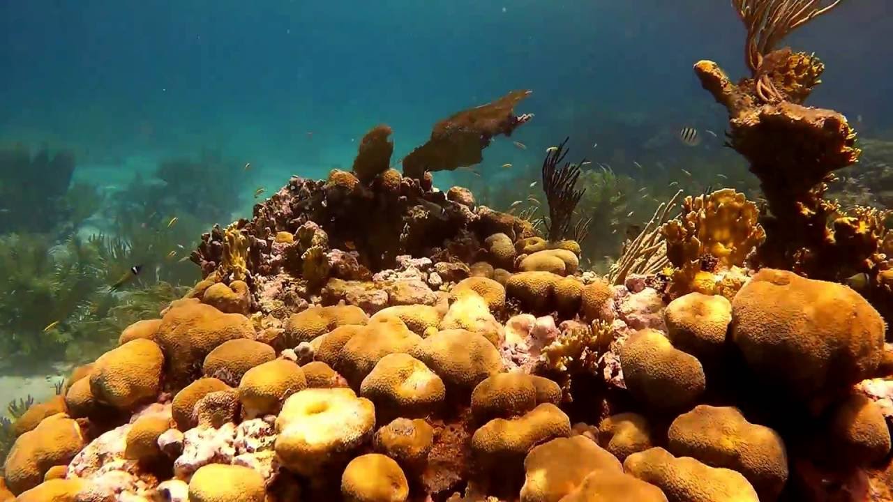 Culebra, Puerto Rico - Trip of a lifetime, Caribbean Camping Paradise
