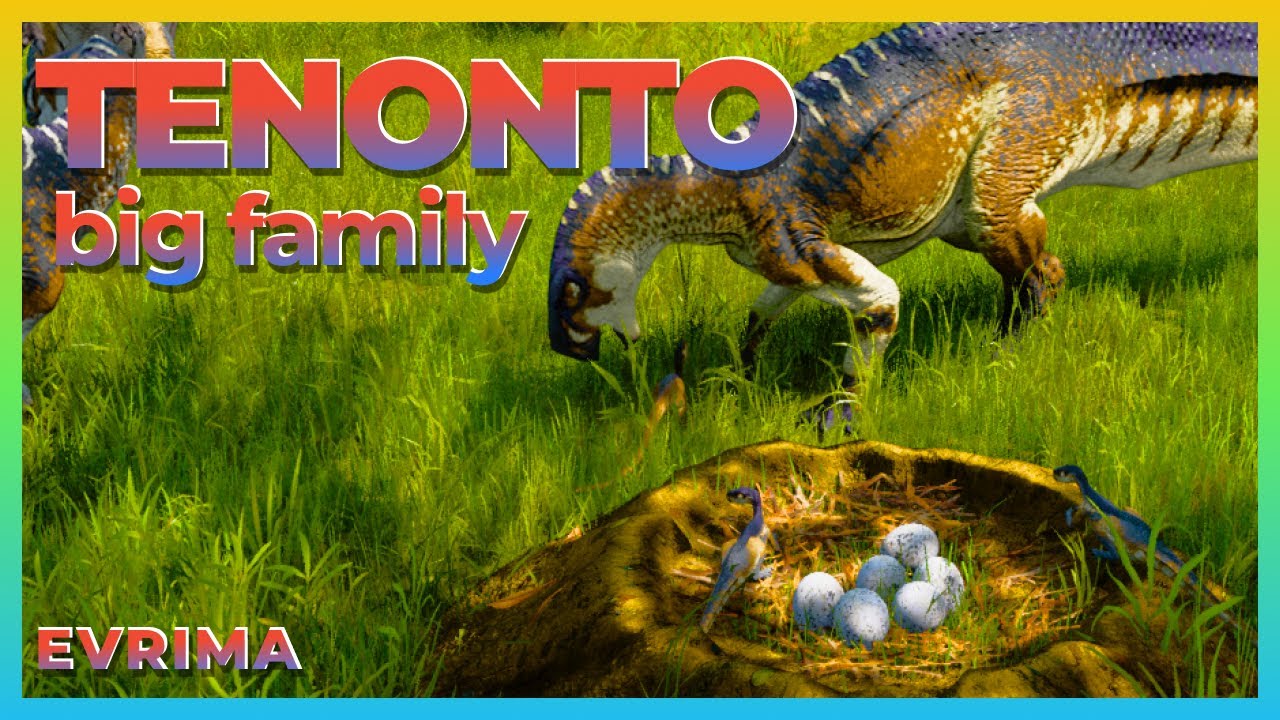 Tenonto big family - Evrima