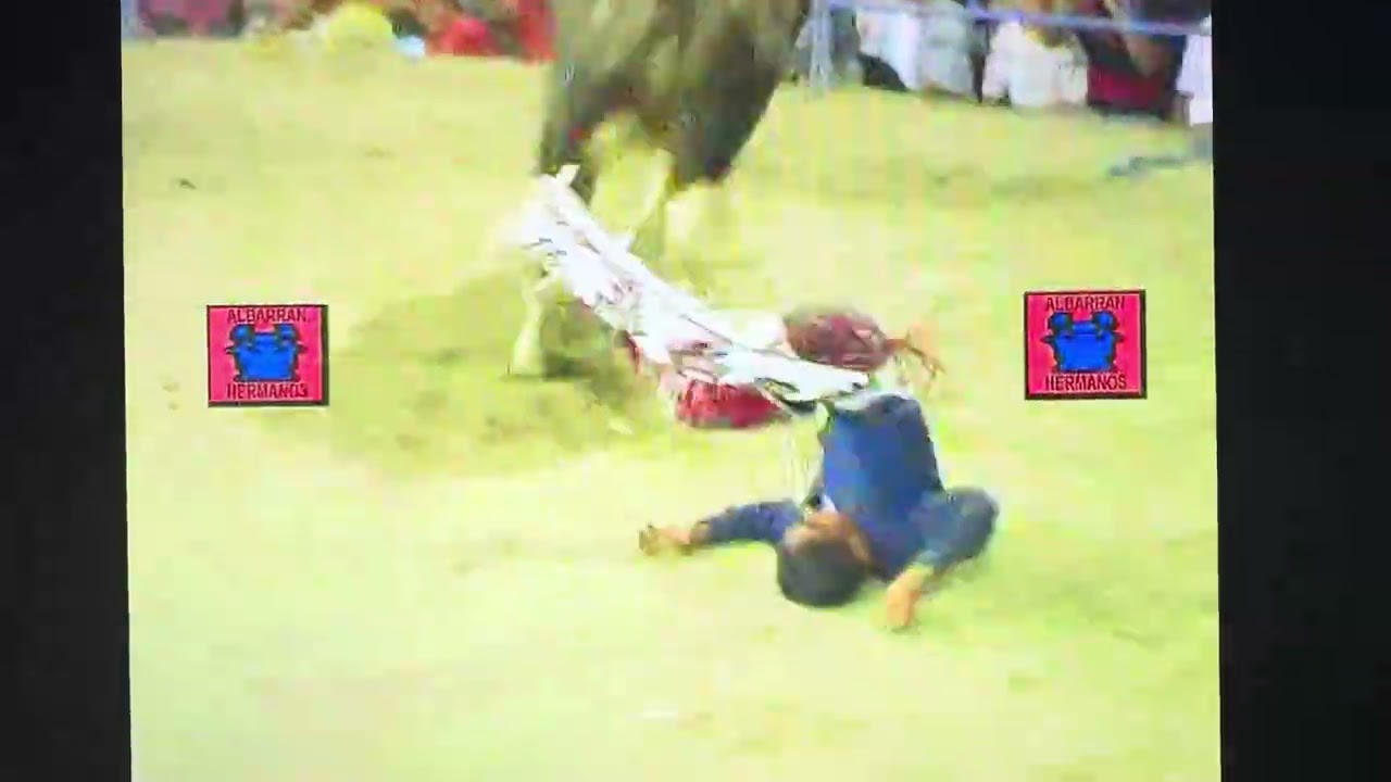 Las Madrizas Del jaripeo!!!! Albarran Hermanos 