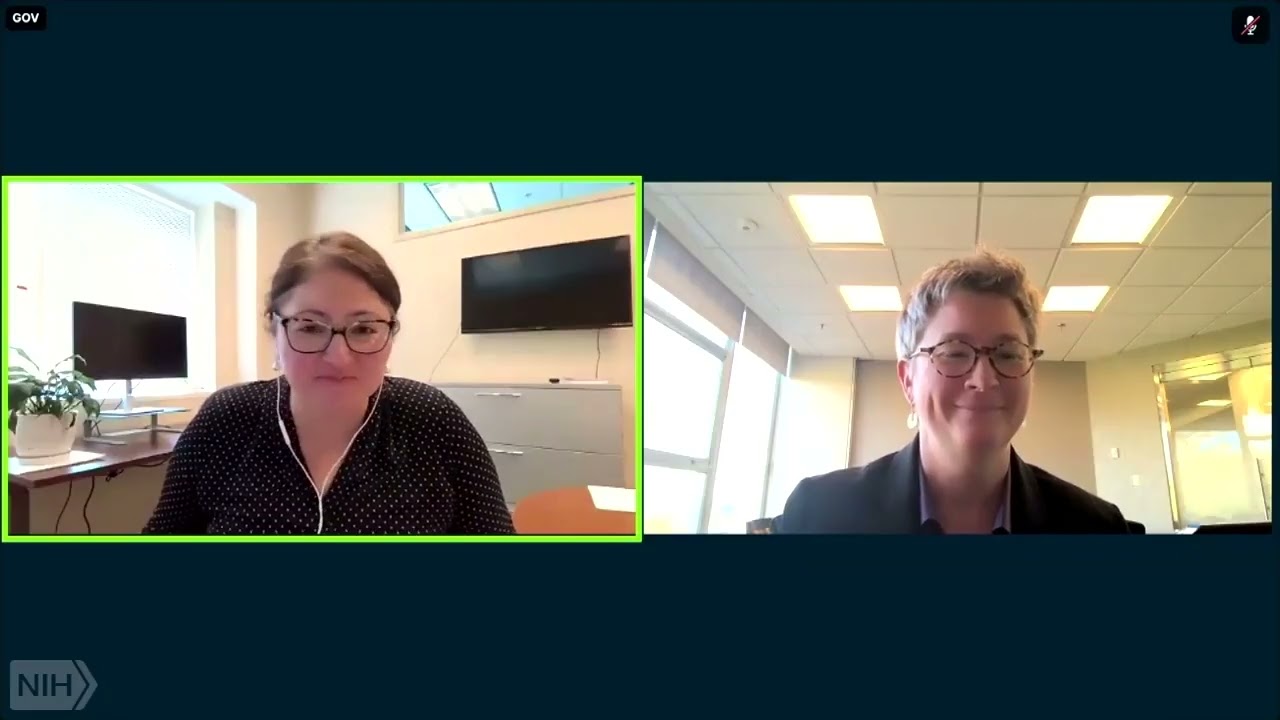 Вводные комментарии