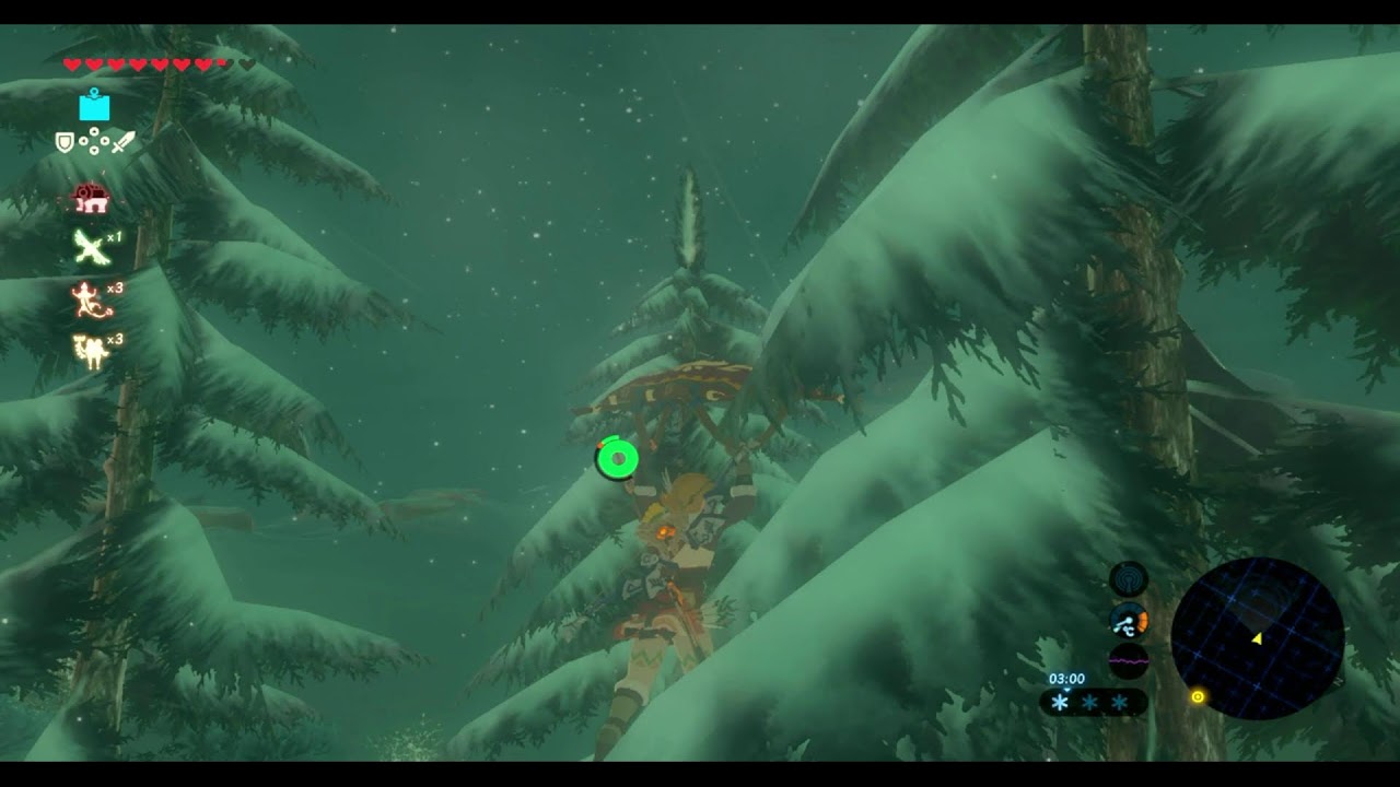 The Legend of Zelda: Breath of the Wild #13