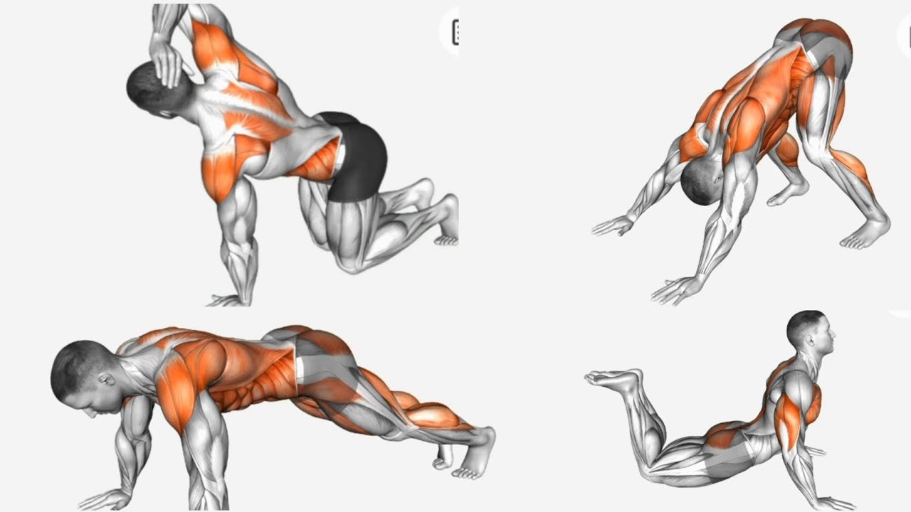 Bad Posture ? Try This Superman Exercise Home Workout for Back Pain Relief & Posture Correction
